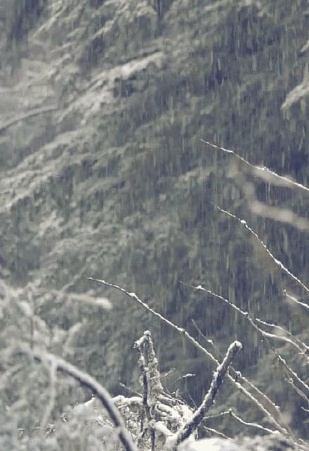 唯美雪景