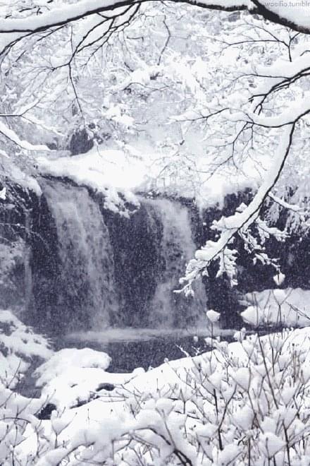 唯美雪景