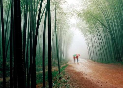 唯美山间小道唯美风景