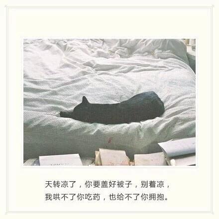 我爱你，爱了整整一个曾经