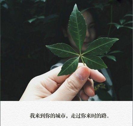 曾经，我也年少轻狂