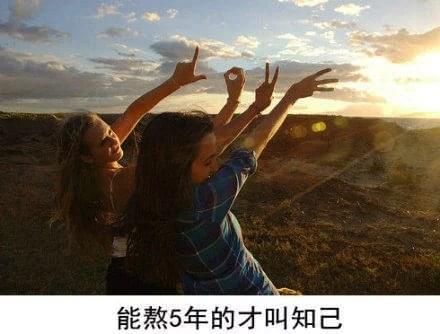 致生命中不离不弃的朋友