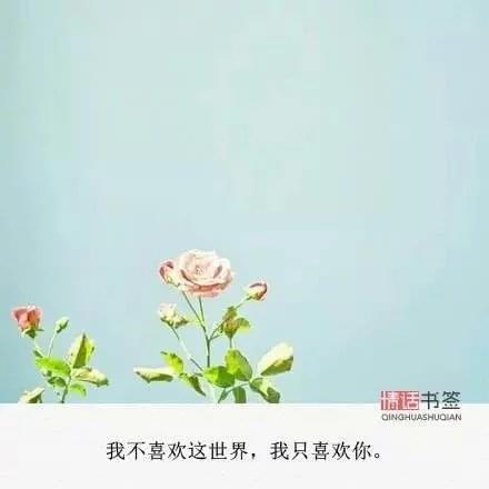 流年吹散了过往，深埋了欢颜