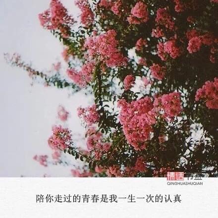 花开两朵，天各一方